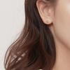 Real 925 Sterling Silver Fashion Zirconia Ear Studs Delicate Flower Stud Earrings For Women Fine Jewelry