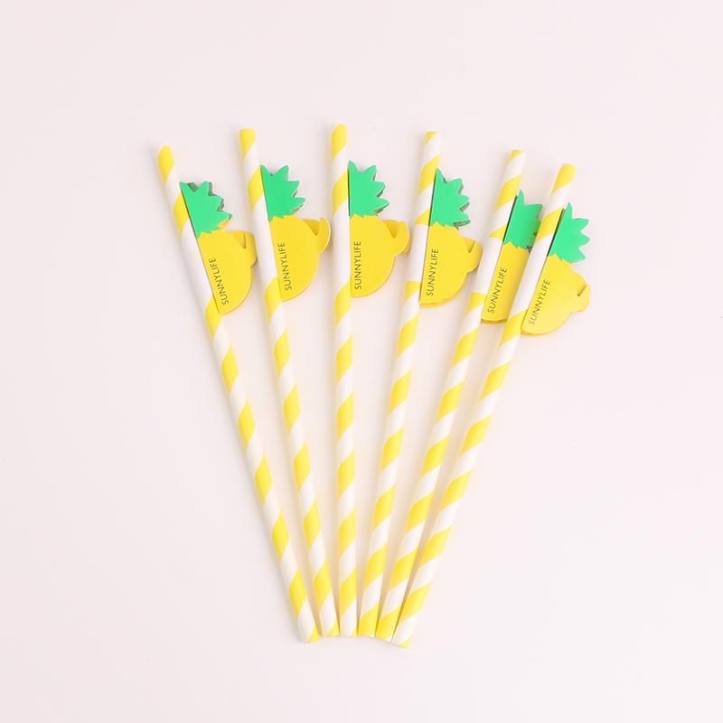 Tropisch-Thematischer 750ml Plastik-Cocktailshaker mit Ananasförmigen Strohhalmen & Papieruntersetzern Moderne Barwerkzeuge für Mojito