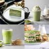Chasen 100 pieces standing tea utensils whisk bamboo scoop matcha powder frother ceremony tools (tea 4 sets)