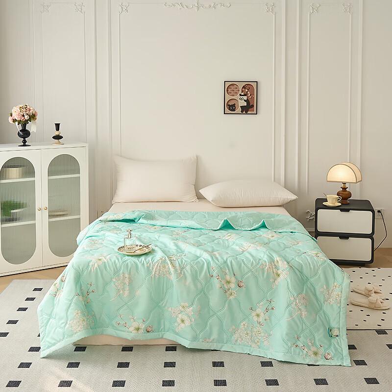 Plover Cloud Soft Summer Quilt