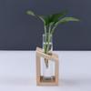 Flower Decoration Gifts Weddings Party Test Tube Vase Home Garden Decoration Flower Pot Plant Vases