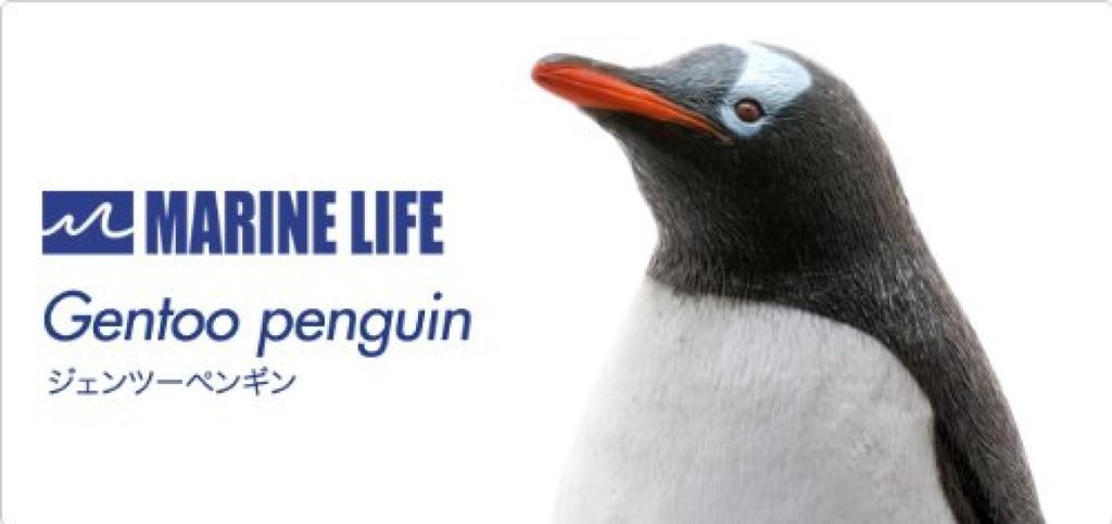 Gentoo Penguin Vinyl Model (FM-309)