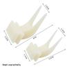Parrot Fruit Forks - Bird Food Utensils & Toy Supplies