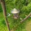 Hanging Automatic Bird Feeder Iron Hummingbird Feeder Durable Wild Bird Feeding Station  Porch