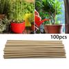 100 Plant Support Rods Gardening Tools Plant Support Rods 3mm * 20cm