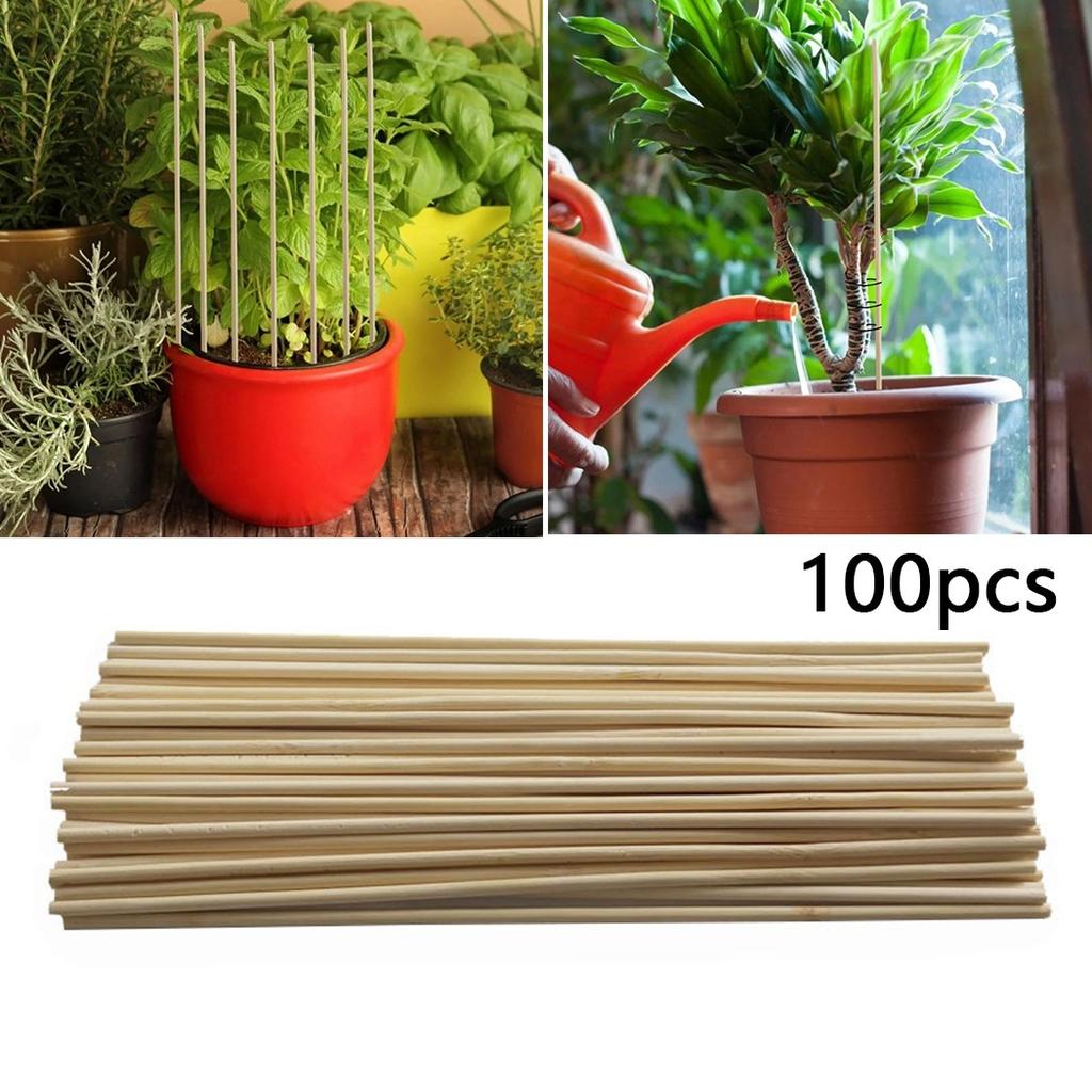 100 Plant Support Rods Gardening Tools Plant Support Rods 3mm * 20cm