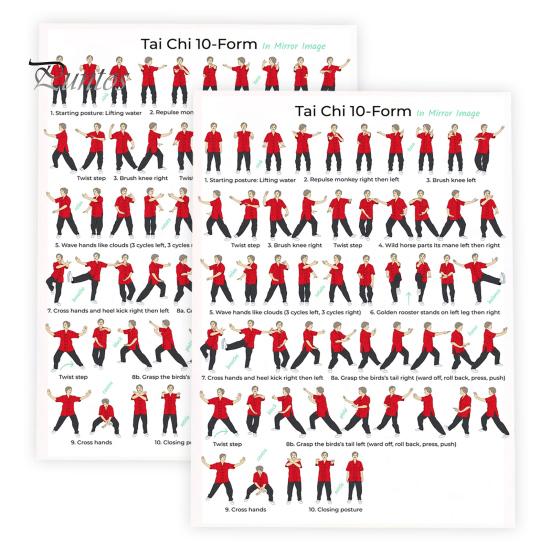 Tai Chi Beginner Routine 2Pcs Exercise Chart, 10 Form Mirror Image Poster, Move Posture Correction Guide for Beginners Seniors, Training Reference 2pcs