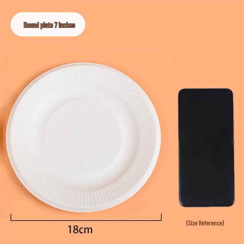 Hand-Painted DIY White Paper Plates for Kindergarten Arts & Crafts
