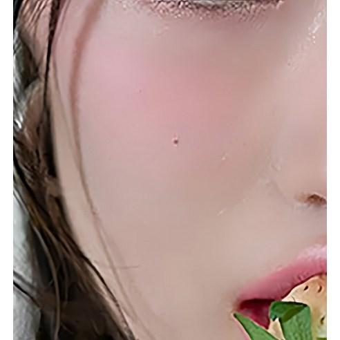 [TOO COOL FOR SCHOOL] Artclass By Rodin Blusher - 9.5g / #De Berry