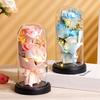 Acrylic Dome Rose Eternal Flowers LED Light Simulation Flower Decor Starry Sky Bouquet  Gift