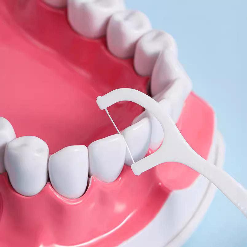 Tragbare Zahnseide-Sticks: Einzeln verpackte Einweg-Zahnstocher, 50 Stück