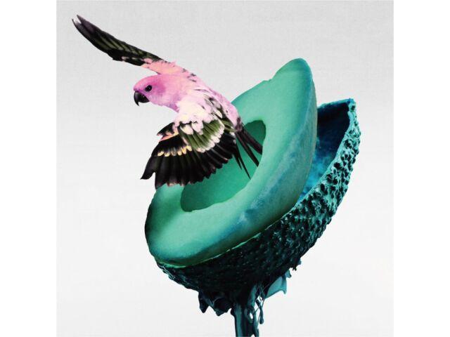 

[CD+Blu-ray] Shinkai Type B First Press Limited Edition TYCT-69269 2nd Album NEW