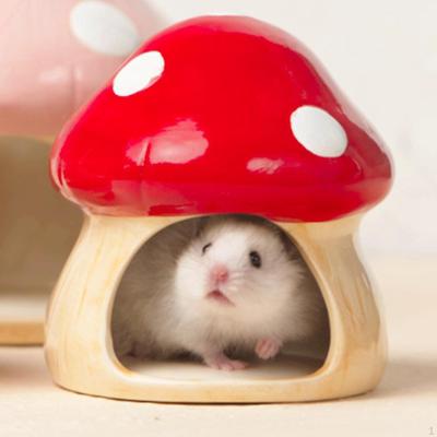 Ceramic Bowl for Hamsters And Small Pets
