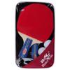 Double Fish 216A Table Tennis Bat Pair