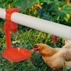 100Pcs Chicken Automatic Nipple Drinker Feeder Drinking Hanging Cups Yellow Red Orange Water Bowl Quail Poultry Drinking Tools