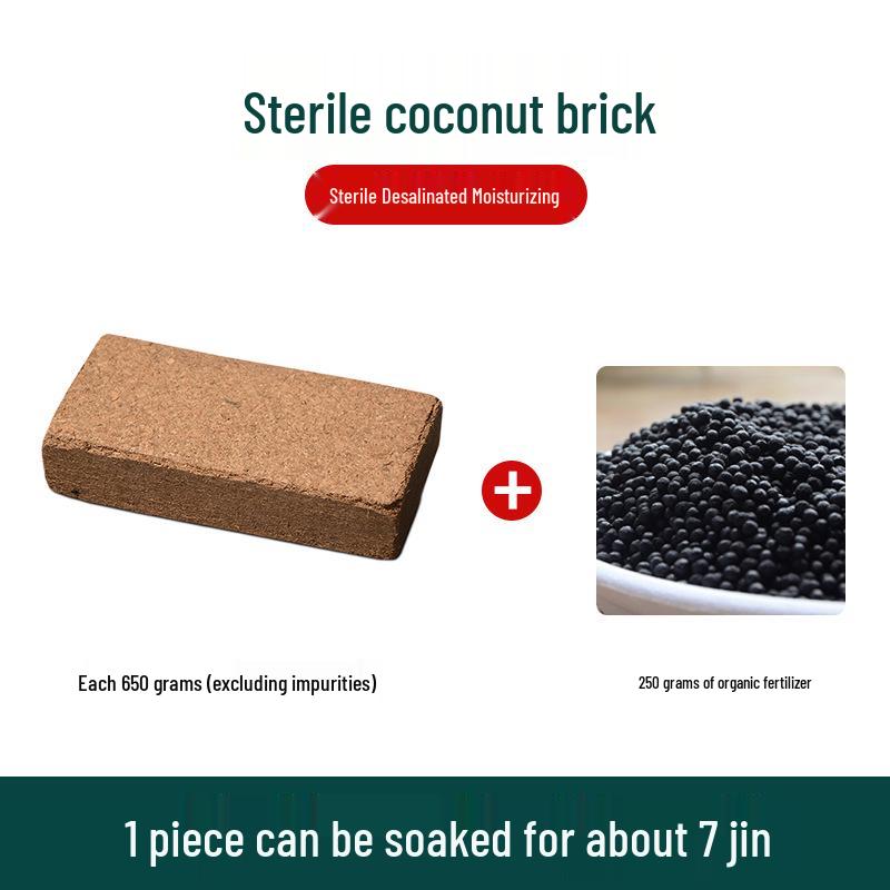 Orchid Nutrient Soil: Small Coconut Husk Bricks & Coarse Fiber for Phalaenopsis/Dendrobium Growing Medium