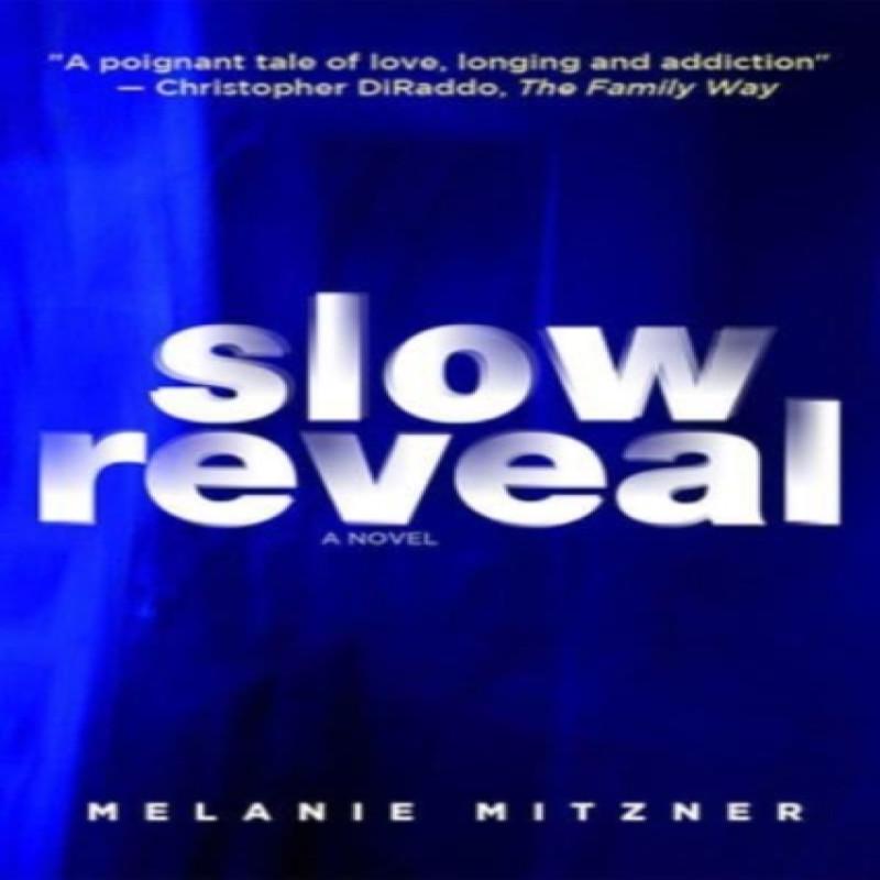 Slow Reveal by Melanie Mitzner Paperback Book 9781771338981