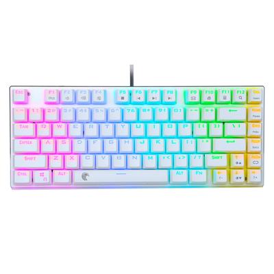 Clavier de jeu mécanique à 81 touches avec LED RVB lumineuses, disposition anglaise, USB filaire, haute vitesse, étanche