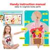 Modello Corpo Umano Feltro Per Bambini Insegnamento Parti del Corpo Lavagna Feltro Storie Attività Sensoriali Giocattolo Insegnamento Prescolare Storia Tavola da Viaggio