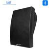 SAST Y6 Wireless Bluetooth Wall & Ceiling Speaker System CN Plug (adapter Included)