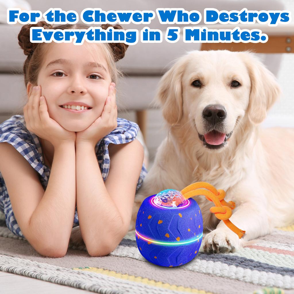 Dog Toy Ball with Random Movement , Bouncing and Spinning Functions for Interactive Play
