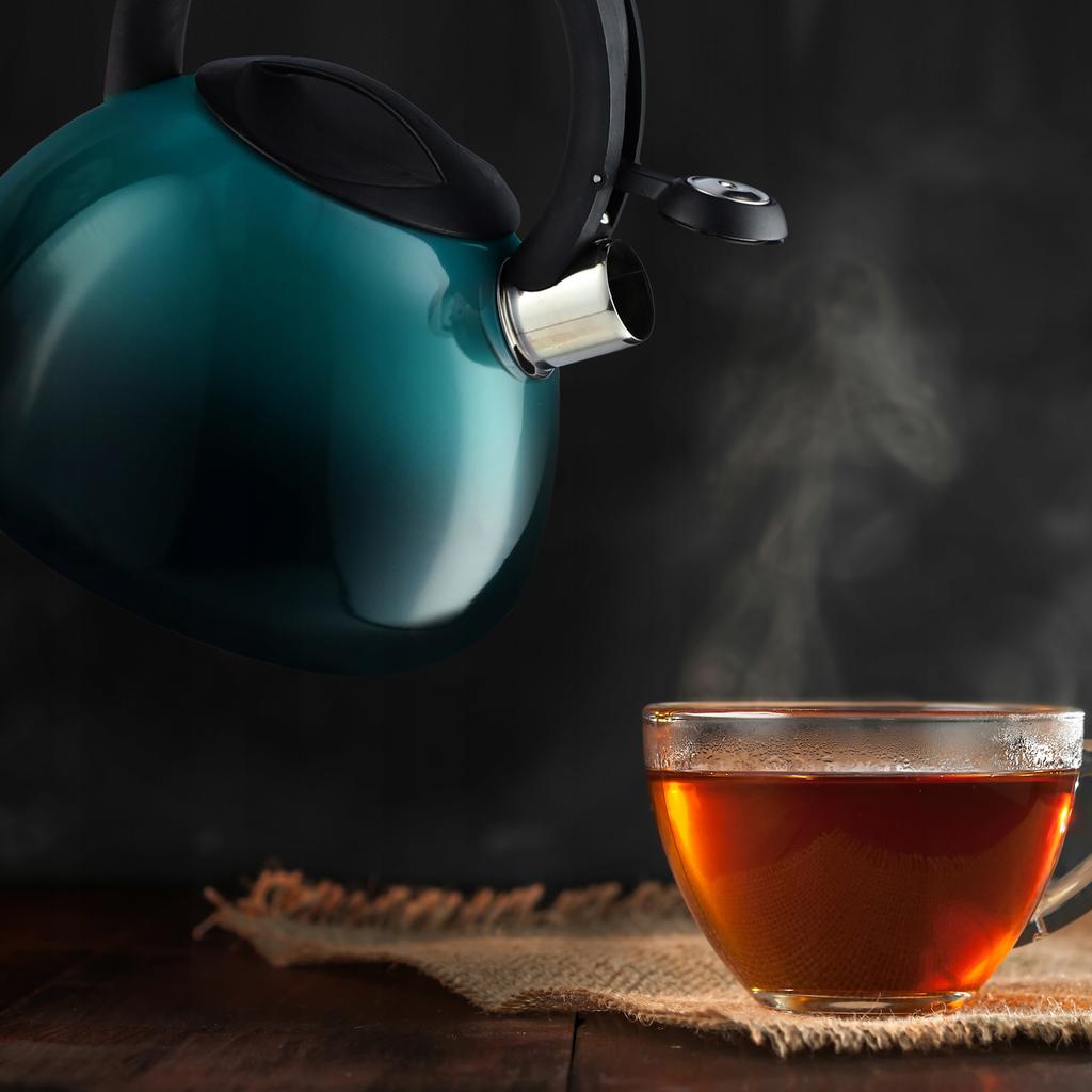 KADAX Kettle With Whistle Gas Induction Steel 2.6L