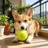 Squeaky Dog Ball Raised Texture Chew Toy Dogs Teeth Cleaning Bite-resistant Relieves Boredom And Anxiety for Puppy Teething Fetch Game Wear-resistant