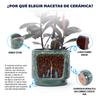 Mini Small Ceramic Plant Pot Ø19 cm, Glossy Rich Green Heart-Ornament Relief, Breathable Drainage Hole for Mini Succulents and Desktop Herbs