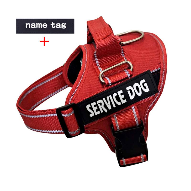 Coussretours en nylon personnalisé pour chien, coussretours en maille respirante, sans nervure, animal de compagnie, petit, moyen, grand chien, SFP S