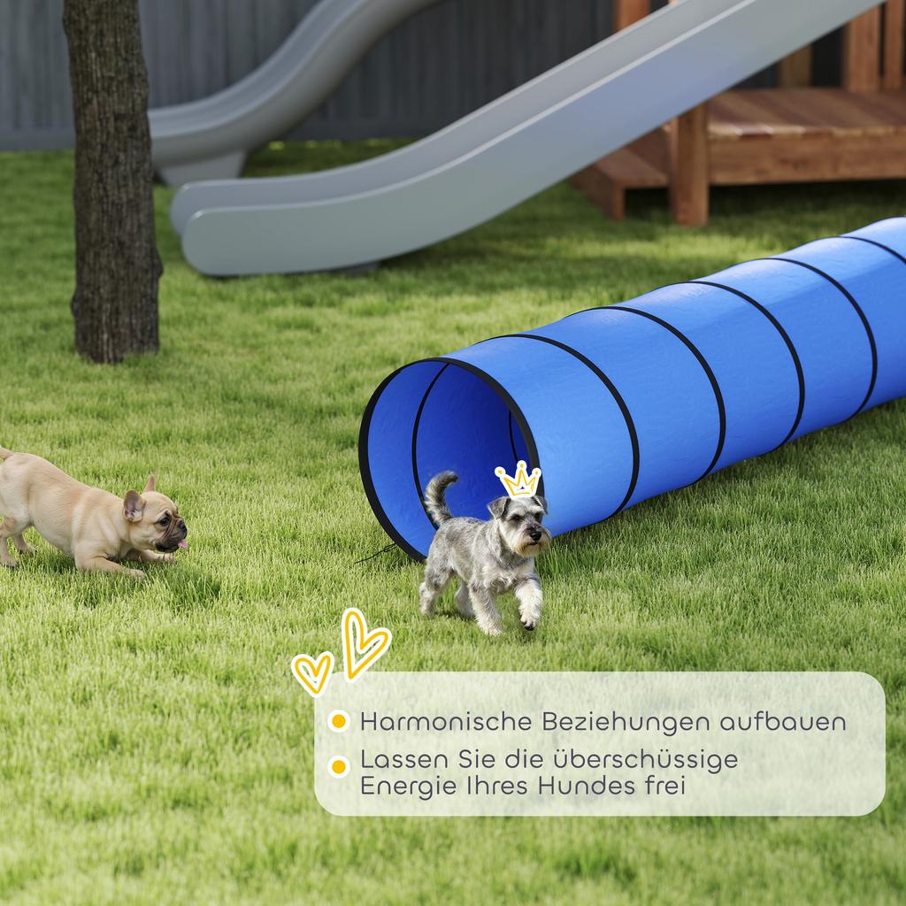 Dog Tunnel, 300 x 50 cm, Foldable Play Tunnel with 4 Pegs and Bag, Tear-Resistant Outdoor Dog Agility Equipment, Blue