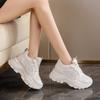 2025 New Autumn Platform Dad Shoes Women's Mesh White Shoes Sports Shoes Internet Celebrity Explosion Heightening Women's Shoes