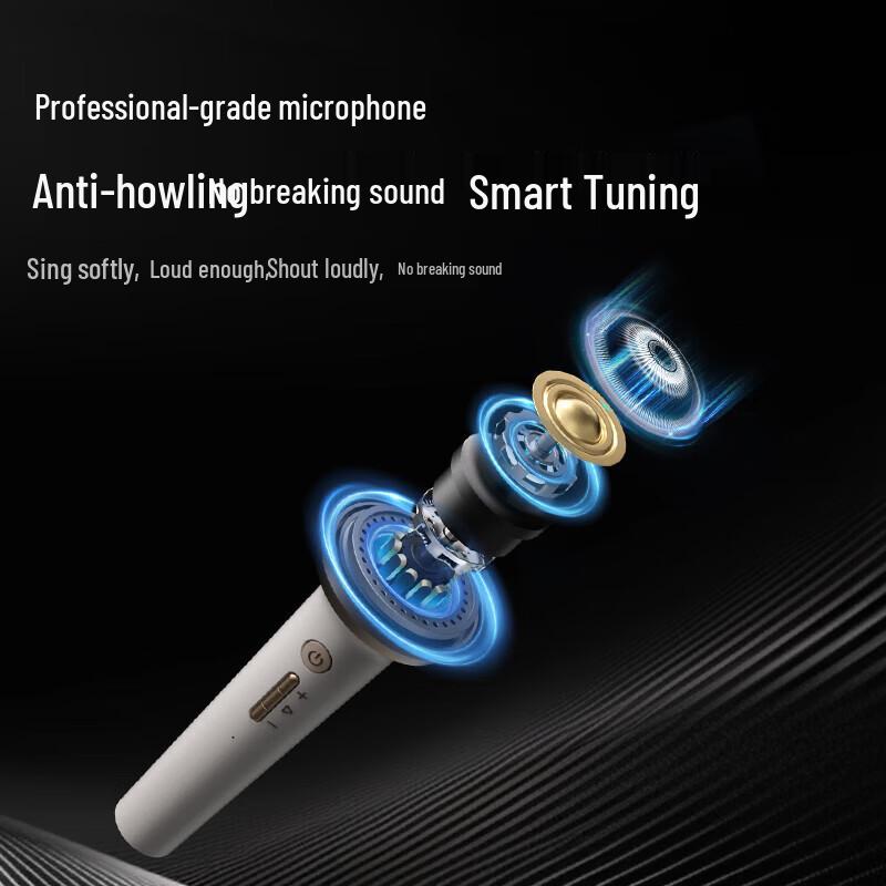 Philips K-Song Bluetooth Speaker with Dual Microphones