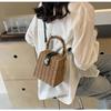 Women's 2024 Spring Retro Rattan Crossbody Bag - Pastoral Mori Girl Style