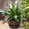 Durable Plastic Round Elegant Whiskey Barrel-Inspired Planter - Indoor & Outdoor Flower Pot for Gardens and Balconies