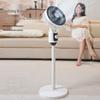 Yangzi Silent Vertical Oscillating Floor Fan for Home and Dormitory