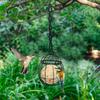 Suet Feeder Metal Squirrel Proof Wildlife Food Station With Hook Bird Suet Feeder For Outside Garden Yard Patio Backyard