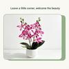 Silk Petals Simulation Cymbidium Bonsai Multicolor Faux Flower Potted  Desktop Ornament