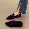 Fashion Women Luxury Velvet Moccasins Fashion Pointed Toe Loafers Ladies 2025 Spring New Leisure Purple Velour Ballet Flat Shoes Loafers