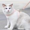 Breakaway with Wings Escape Proof for Walking Cat Collar Cat Vest Cat Harness Leash Dog Necklace