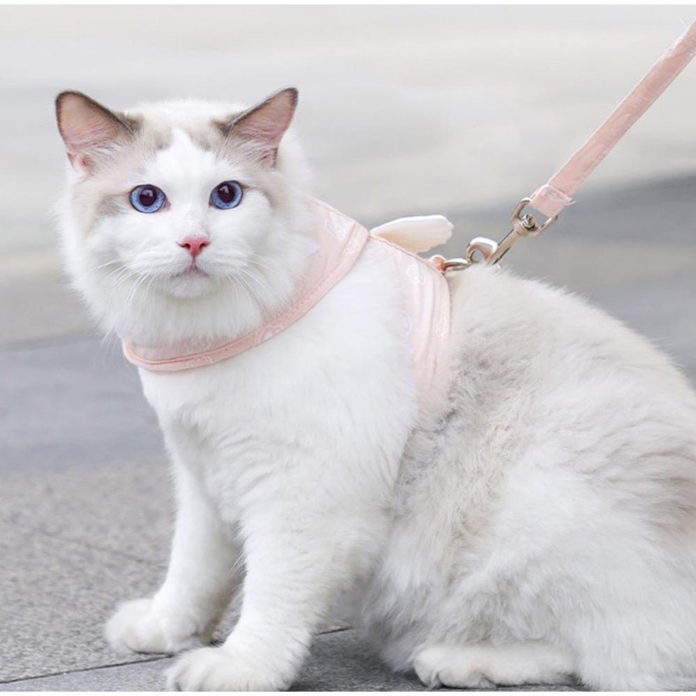 Breakaway with Wings Escape Proof for Walking Cat Collar Cat Vest Cat Harness Leash Dog Necklace