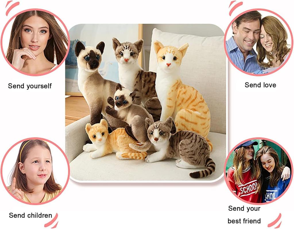 12-inch Siamese Cat Plush Toy, Shorthair, Realistic, Cute, Animal-like, Simulated Pet, Perfect for Kids, Kindergarten Entrance Ceremonies, Birthdays,
