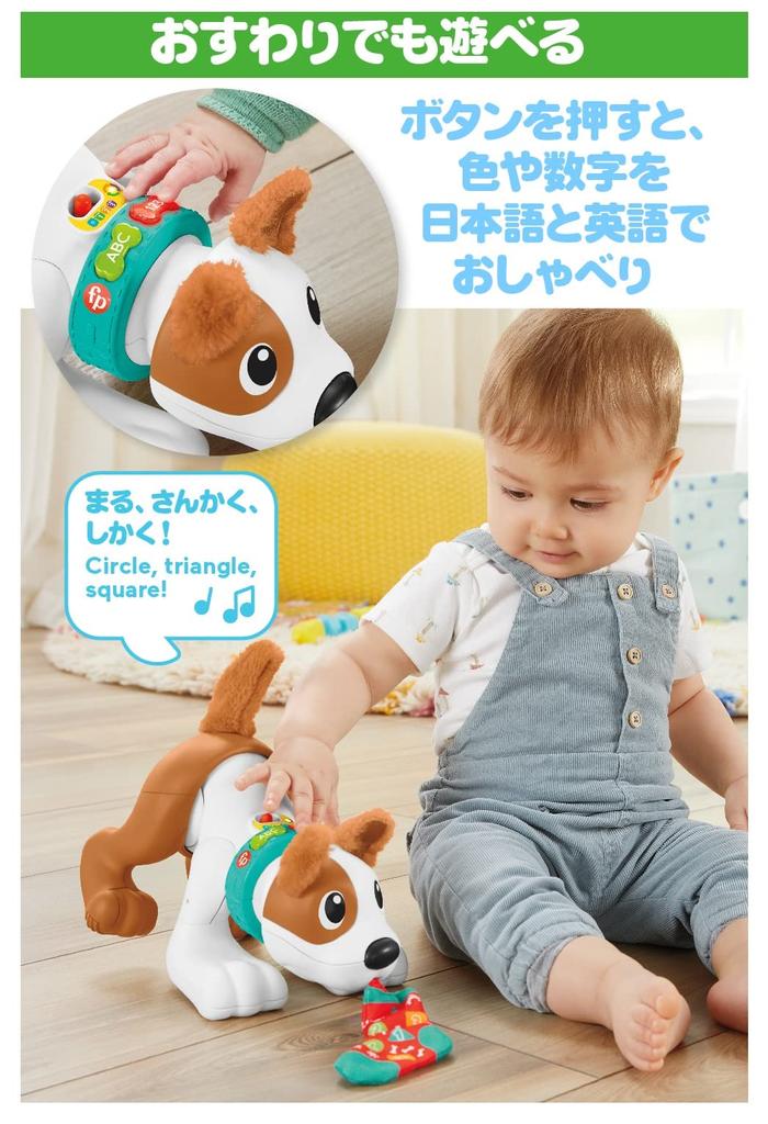 Fisher-Price Chase with Puppy! Bilingual Puppy [6 Months and Up] [Baby Toy] HGY01