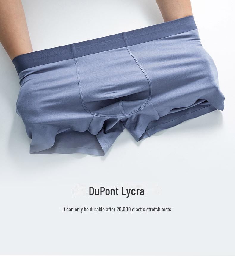 Nahtlose Herren Antibakterielle Atmungsaktive Seiden Boxer Briefs - Hochelastisch, Bequeme Passform, Große Größe