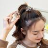 Headwear MIni Hairpin Girls Hairpin Small Hair Claw High Ponytail Fixed Clip Korean Style Hair Clip