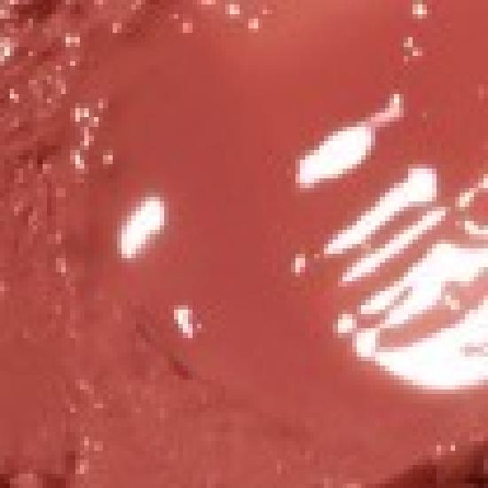 

AOU Увлажняющий стик 4 цвета 04 Grilled Bar