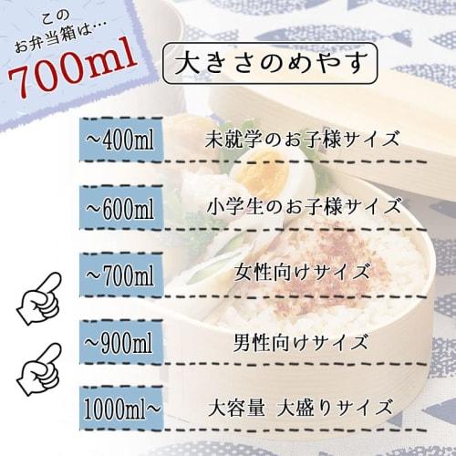 Magewappa Bento Box, 700ml, Single Tier, Made In Japan, FH01 (Brown)