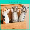 Black Tabby Calico Cat Tigertight Felis Plush Toy Stuffed Dolls Animal Gifts