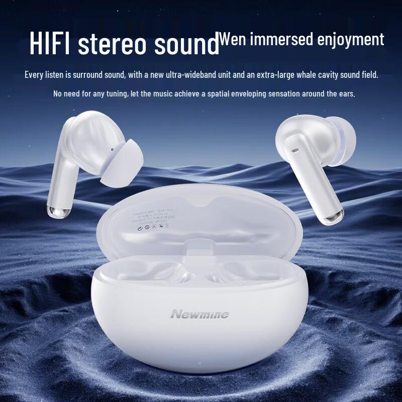 Newmine T13 Wireless Bluetooth Earbuds