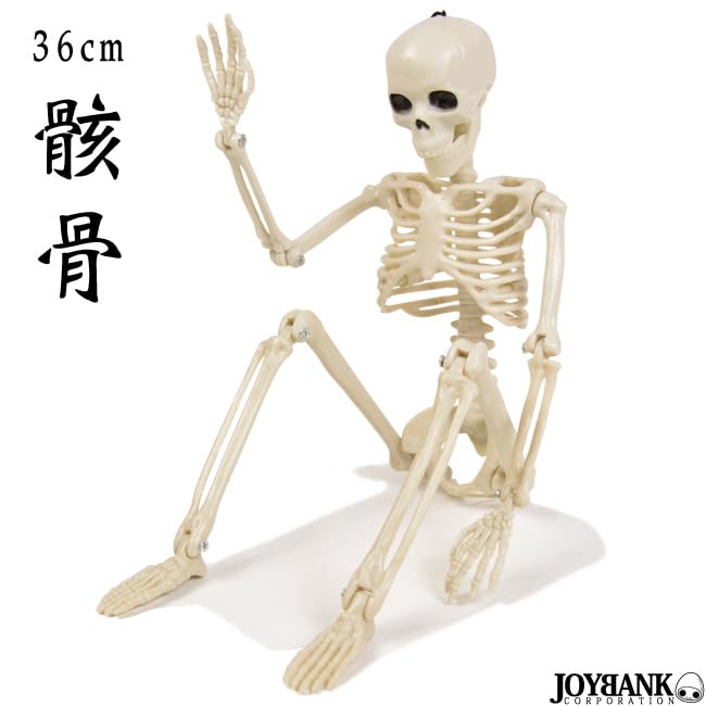 Mode della Casa Skeleton Figure 36cm Toy Skeleton Skull Interior Horror Halloween Goods (Regular Item)
