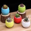 6PCS/Set Round Plastic Plant Pots Multicolor Mini Succulent Pot Flower Planters Desktop Ornament Suitable for Indoor Outdoor ZYF